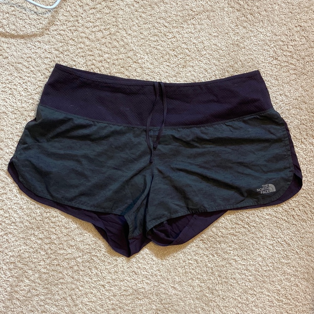 TNF Lined Running Shorts